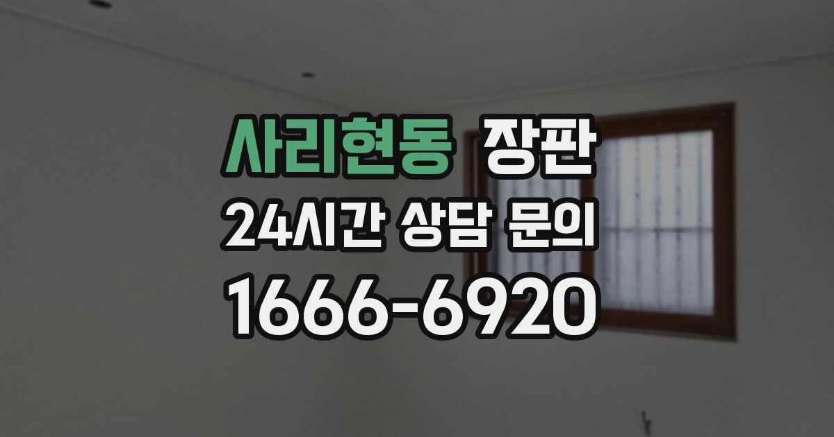 사리현동 장판