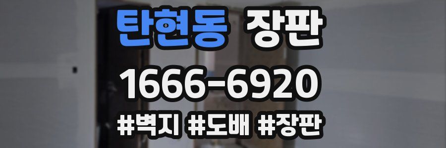 탄현동 장판