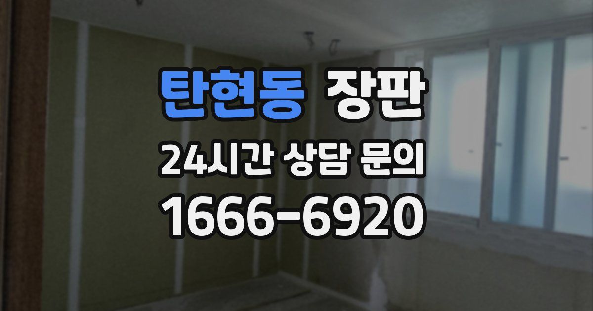 탄현동 장판