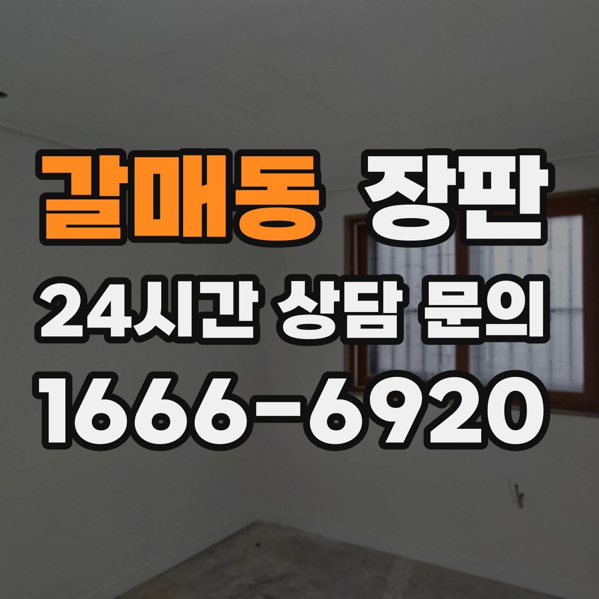 갈매동 장판
