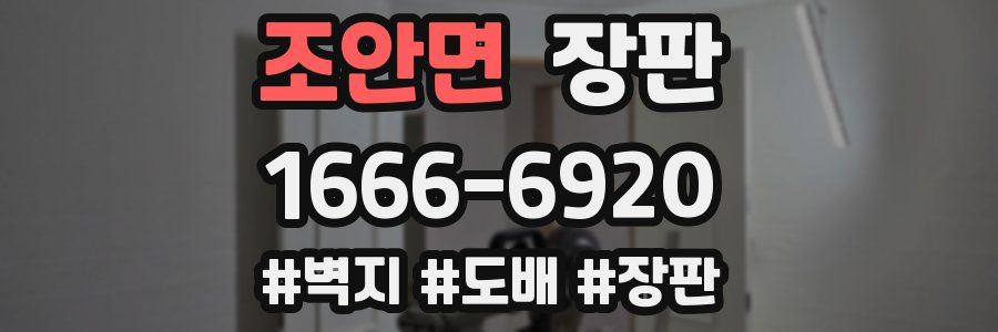 조안면 장판
