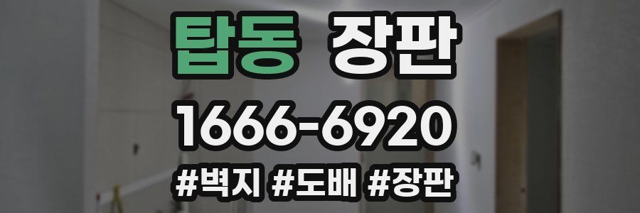탑동 장판