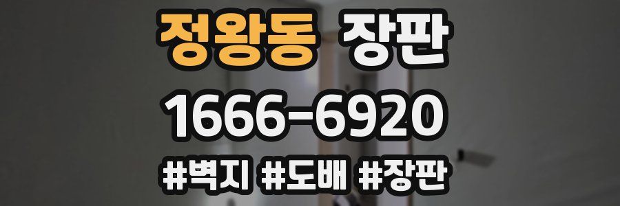 정왕동 장판