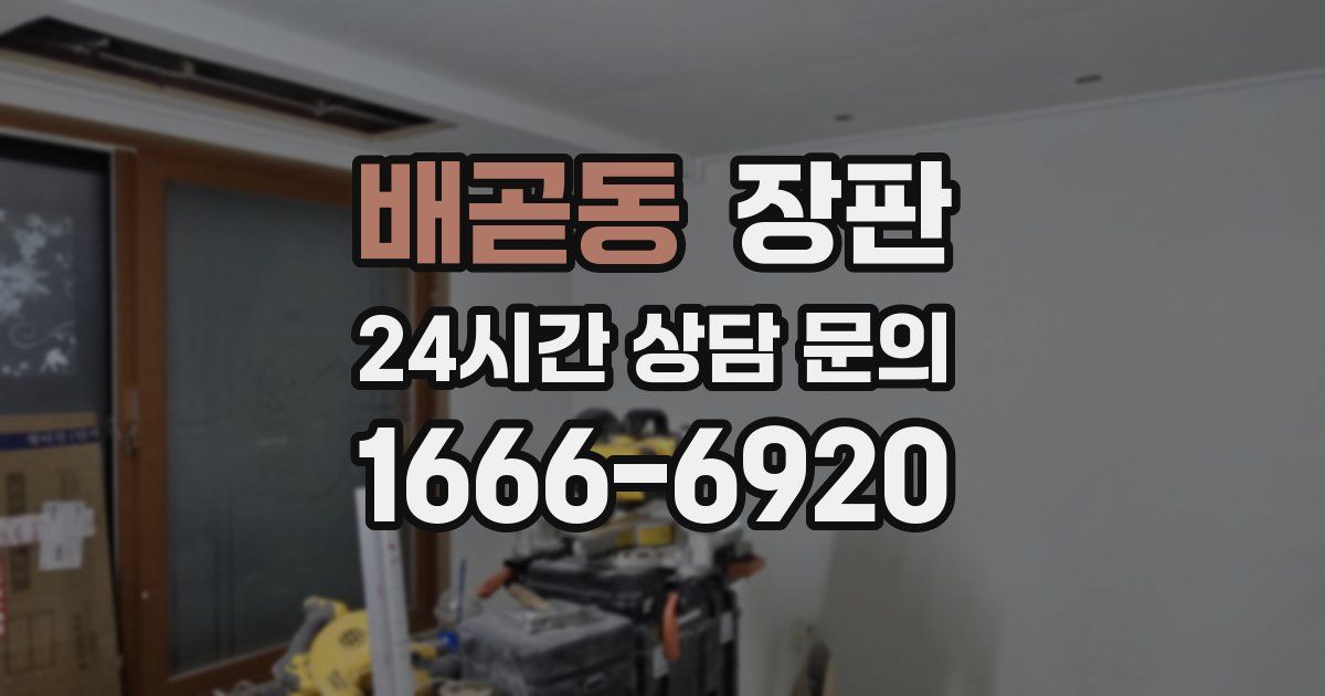 배곧동 장판