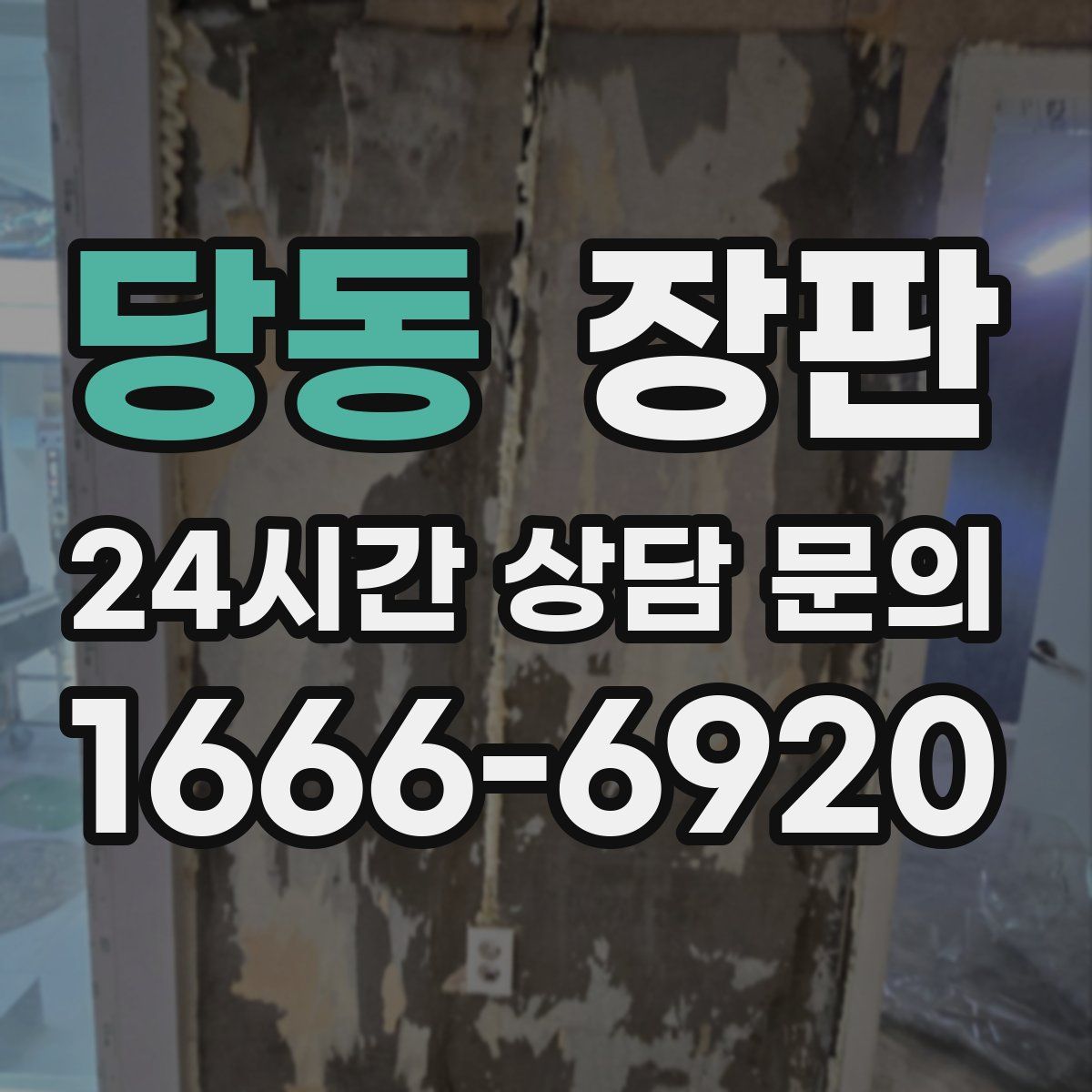 당동 장판