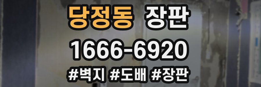 당정동 장판