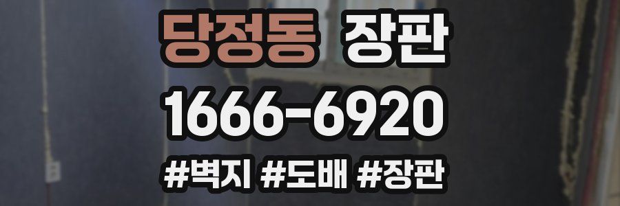 당정동 장판