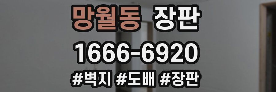 망월동 장판
