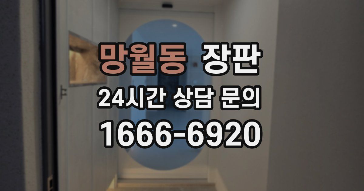 망월동 장판