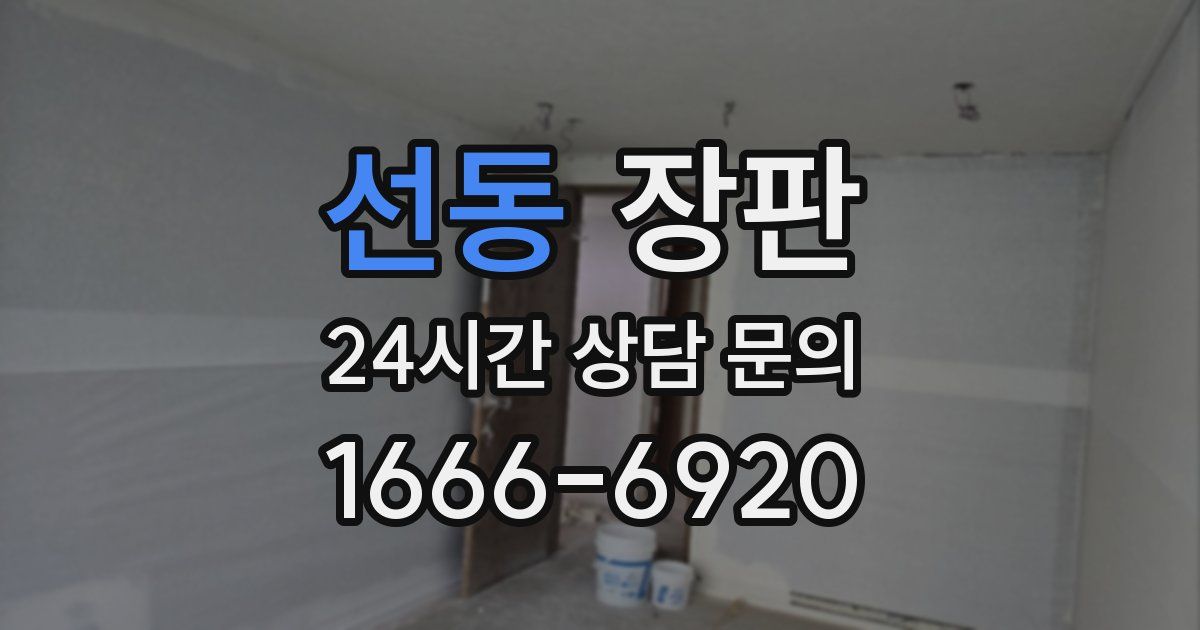 선동 장판