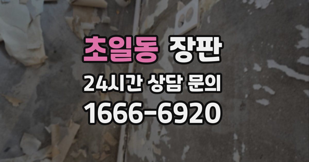 초일동 장판