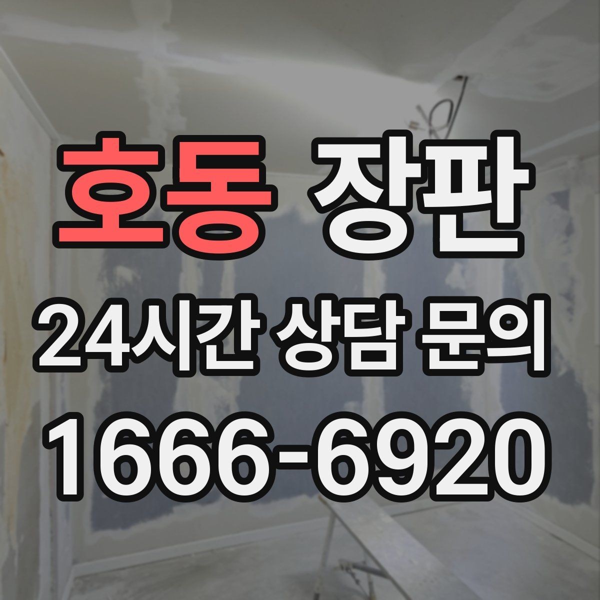 호동 장판 반려동물 있는 집에서 고려할 점