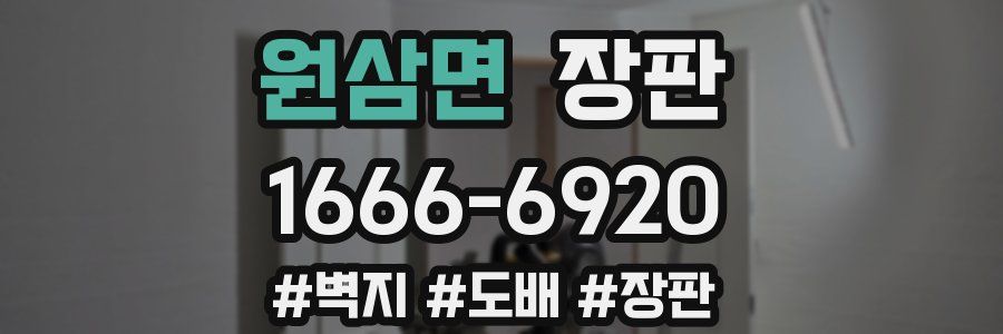 원삼면 장판
