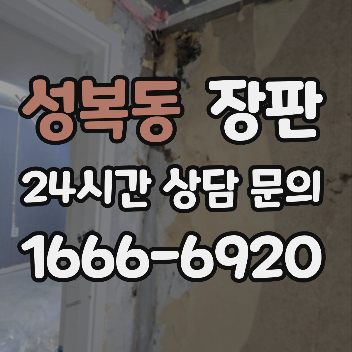 성복동 장판