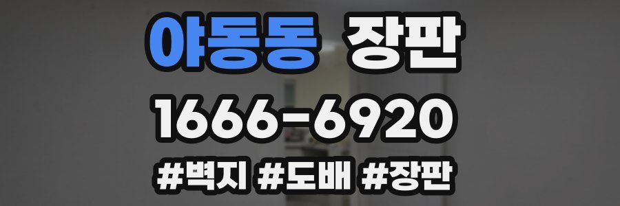 야동동 장판