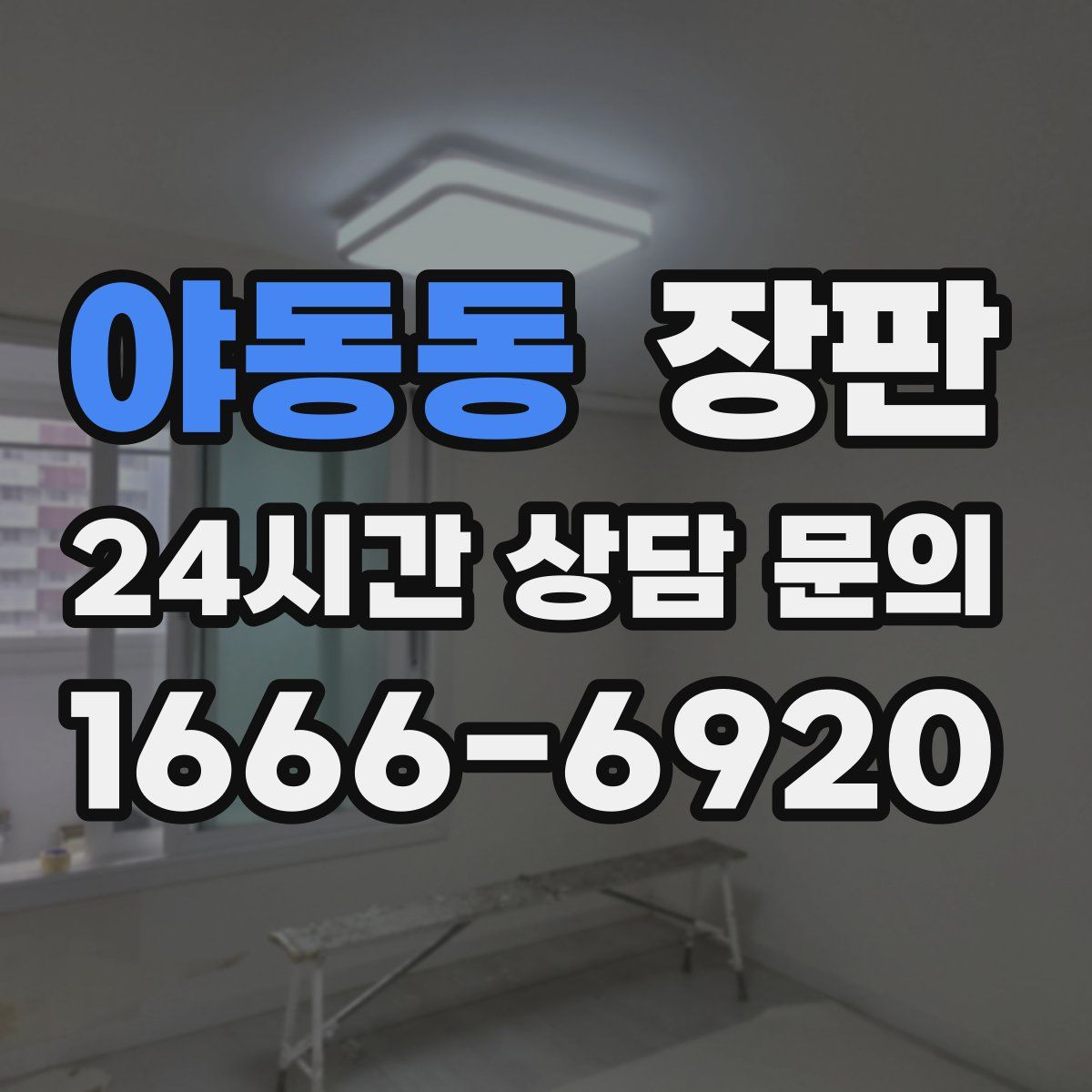 야동동 장판