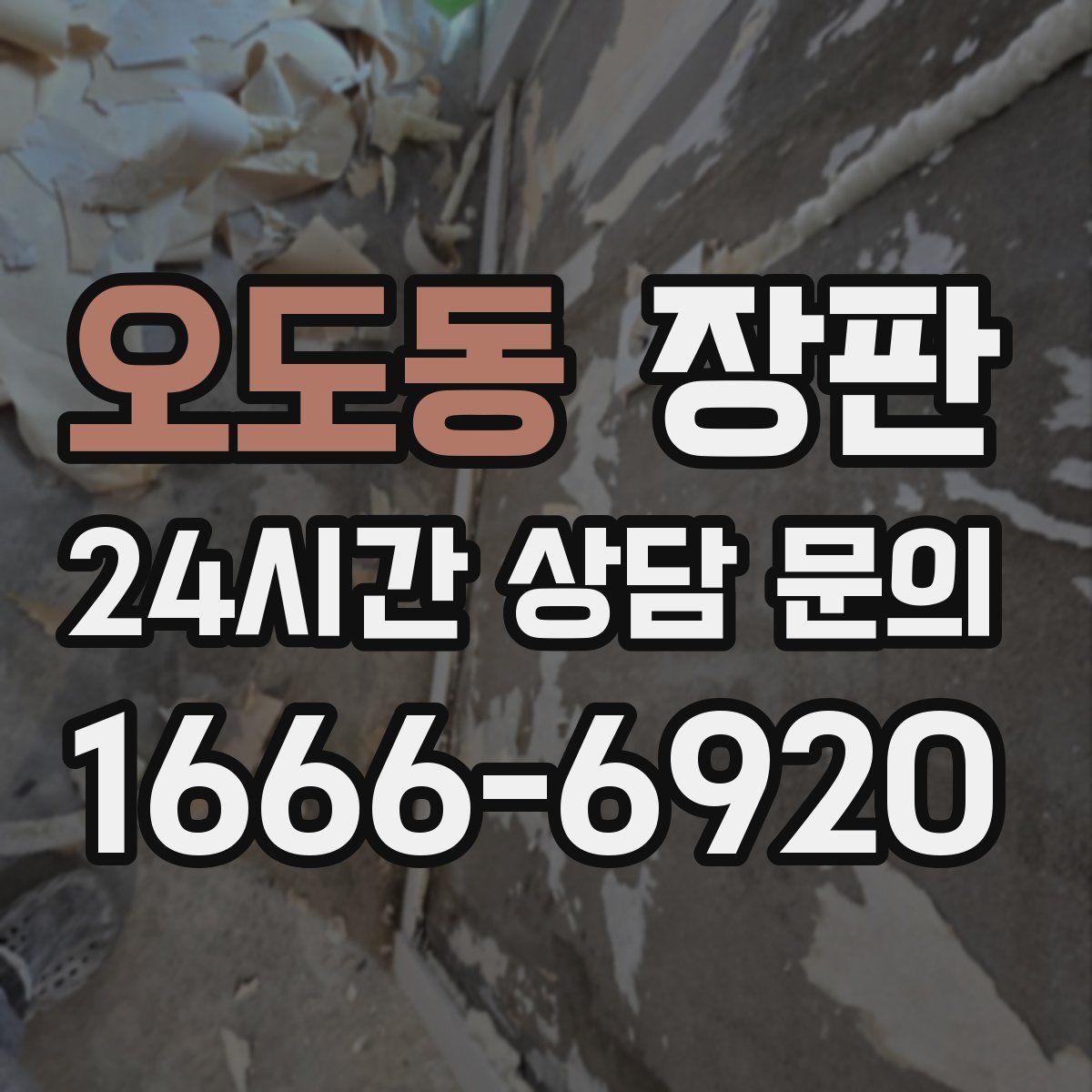 오도동 장판