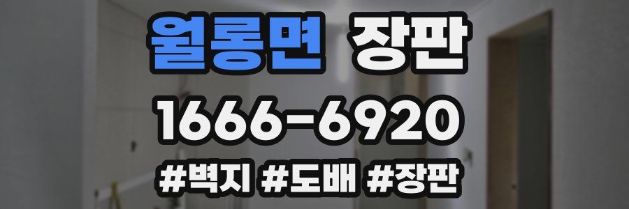 월롱면 장판