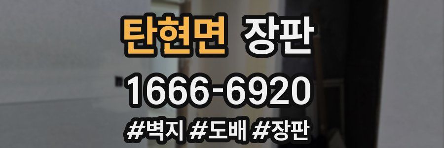 탄현면 장판