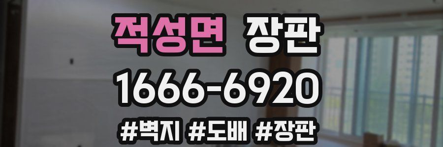 적성면 장판