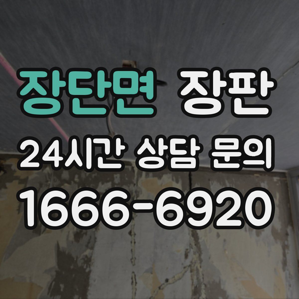 장단면 장판