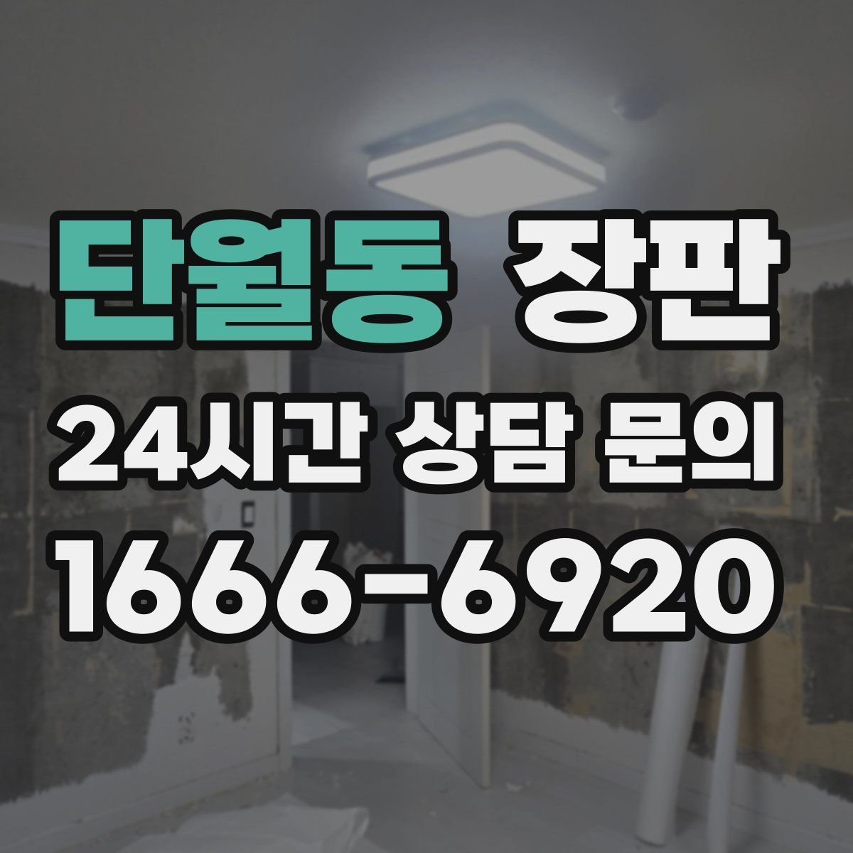 단월동 장판