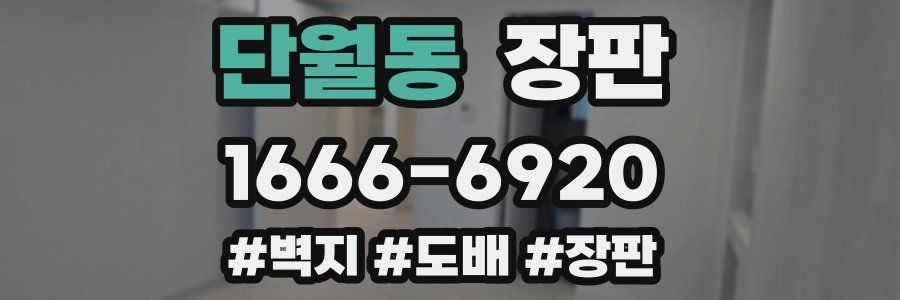 단월동 장판
