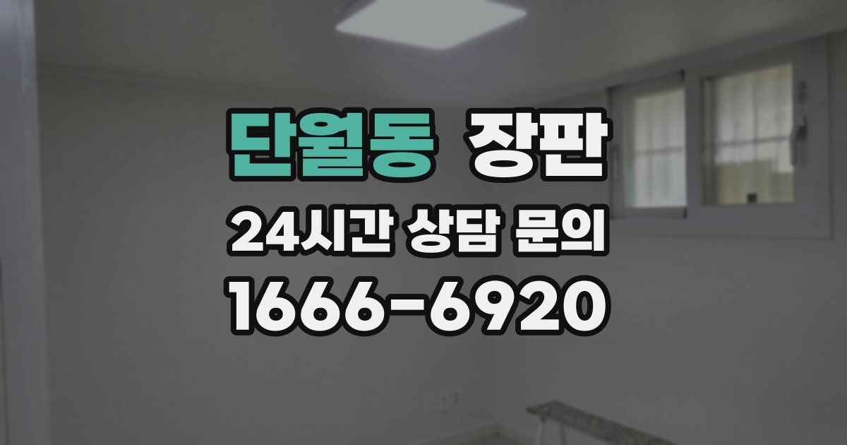 단월동 장판