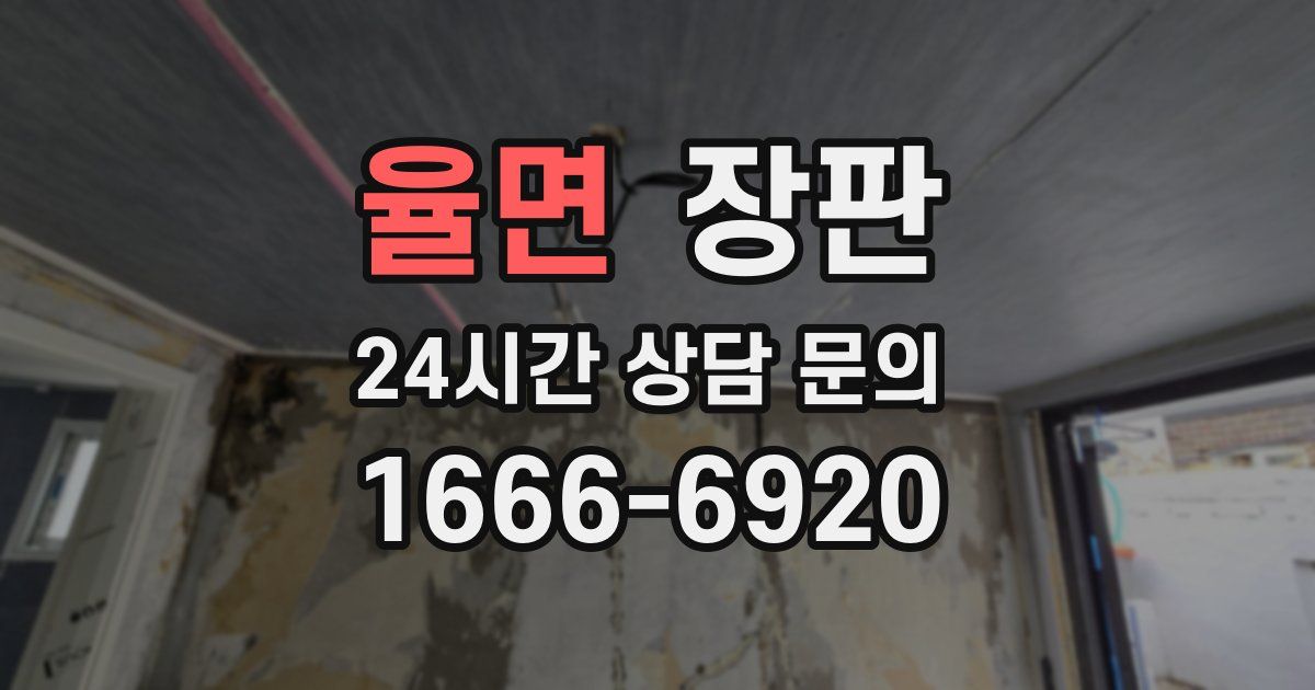 율면 장판