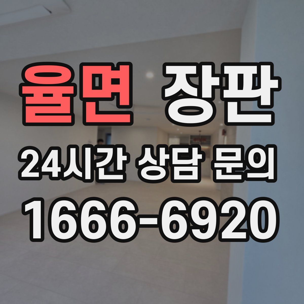 율면 장판