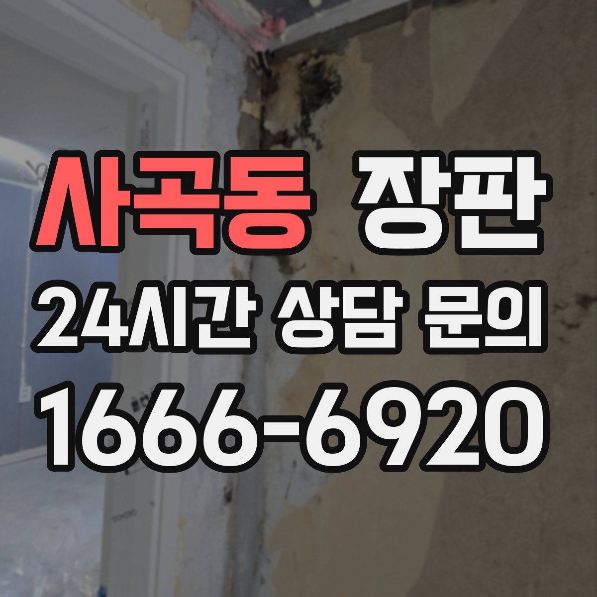사곡동 장판