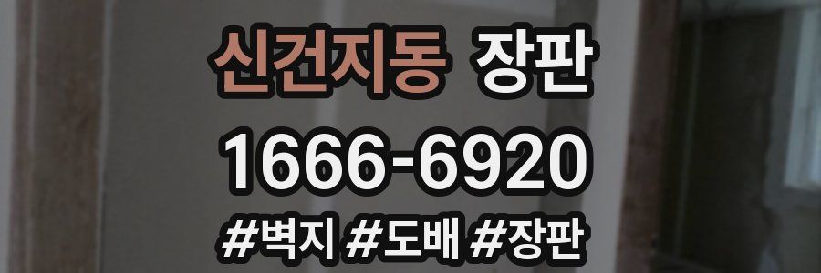 신건지동 장판