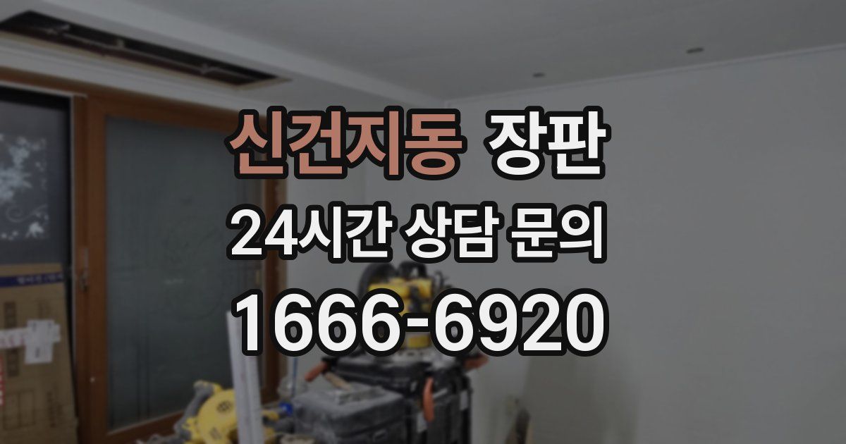 신건지동 장판