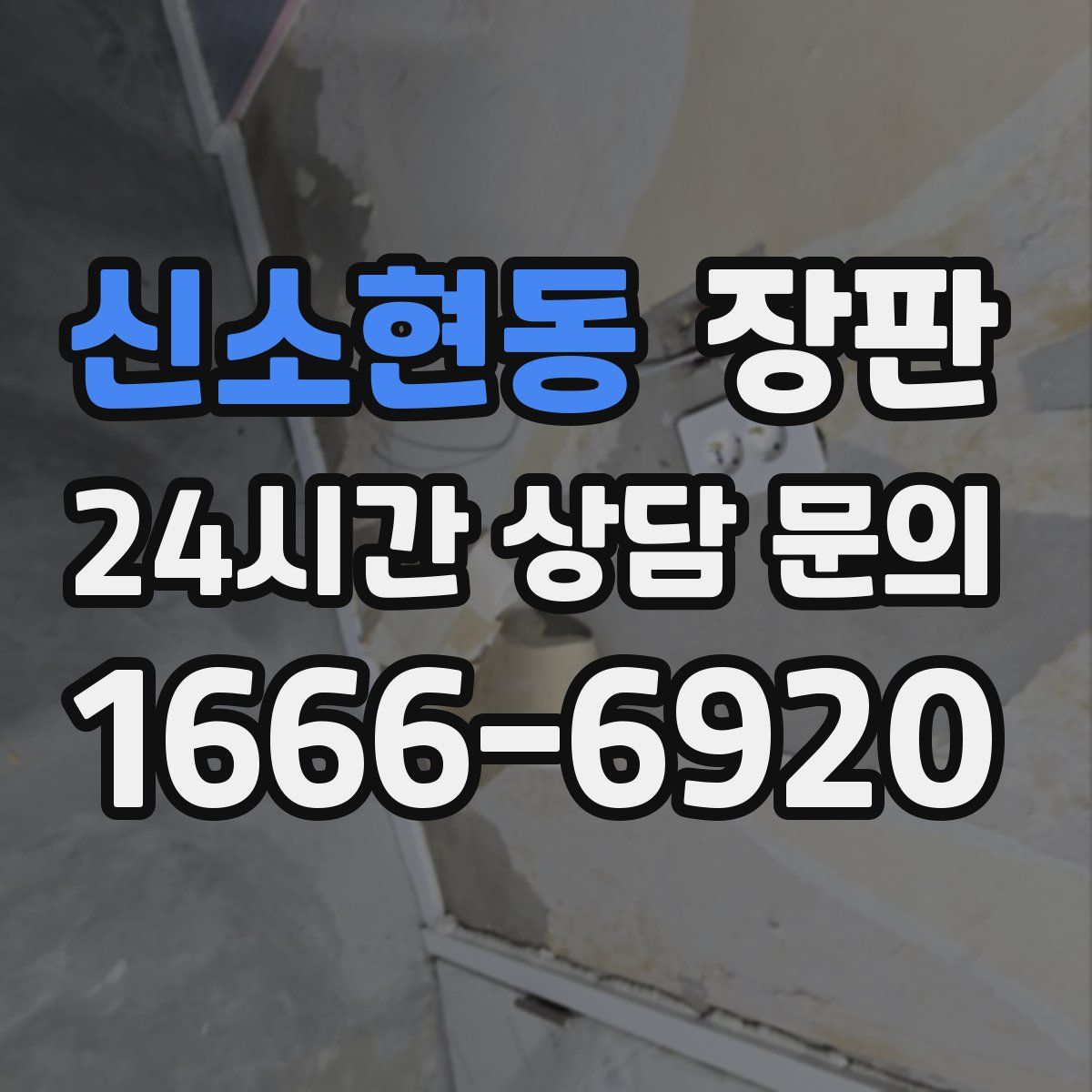 신소현동 장판