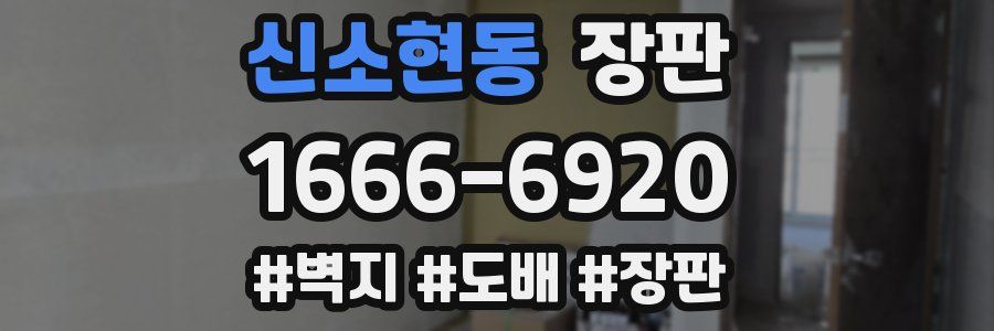 신소현동 장판