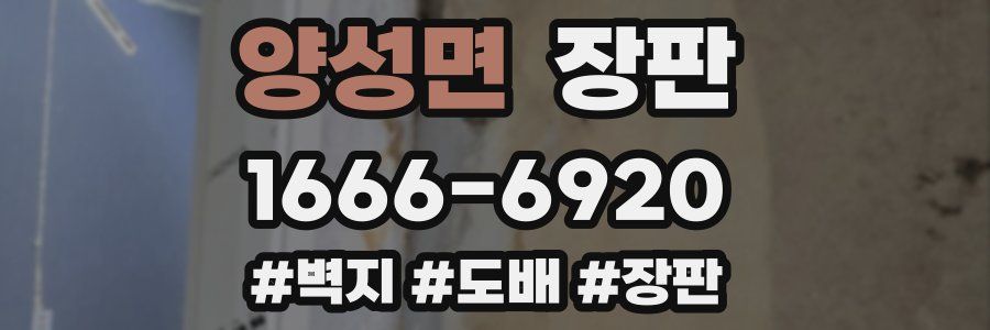 양성면 장판