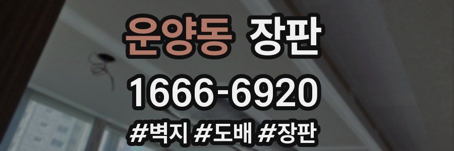 운양동 장판