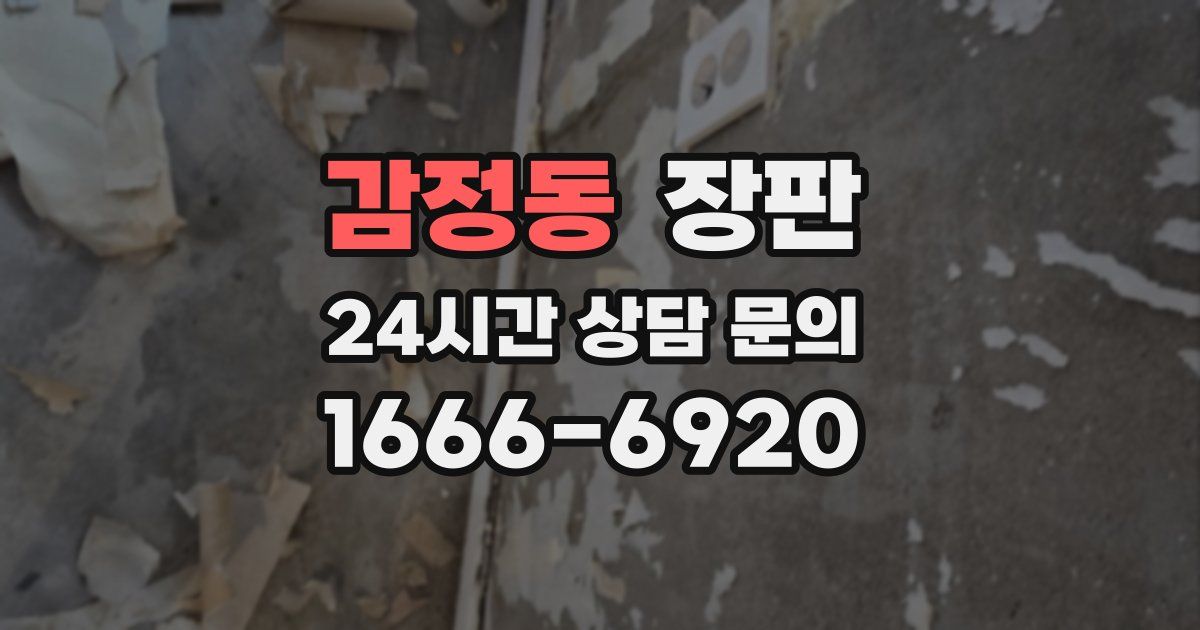 감정동 장판