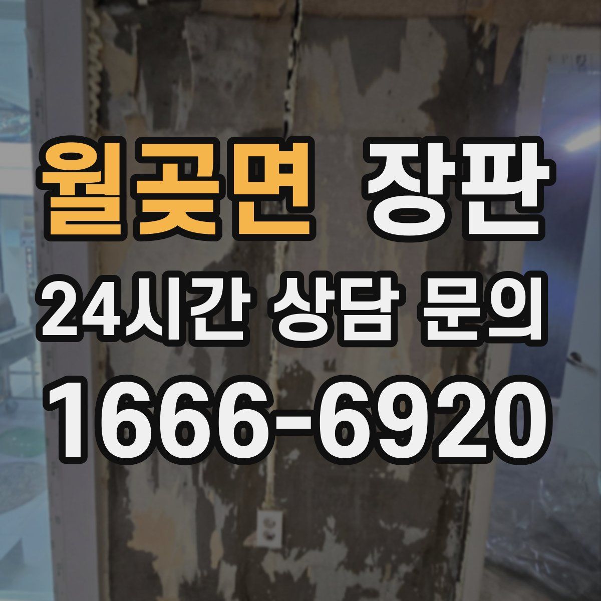 월곶면 장판