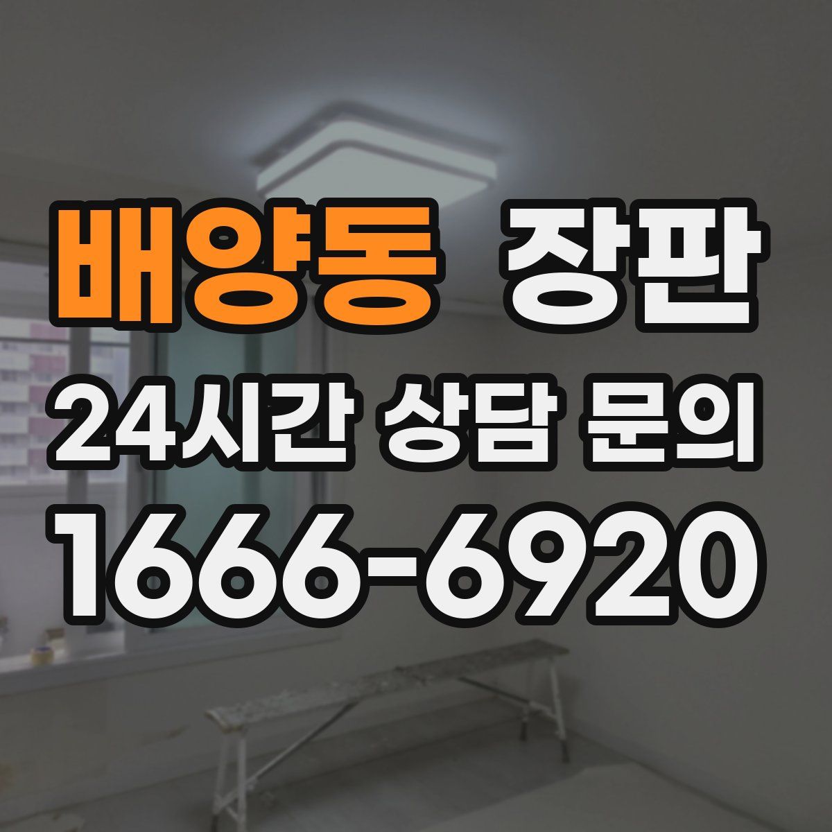 배양동 장판