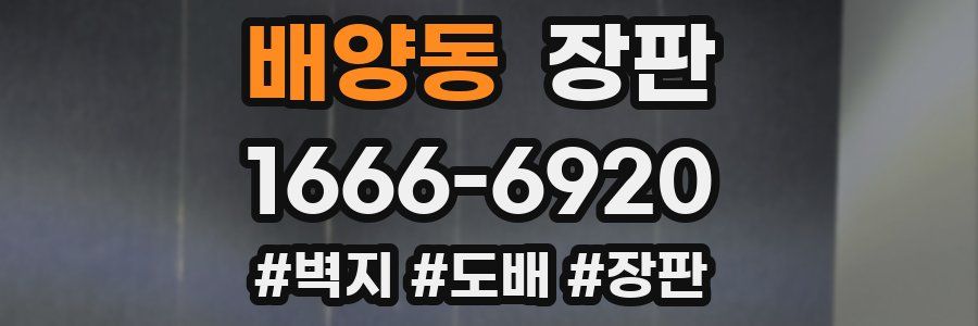 배양동 장판