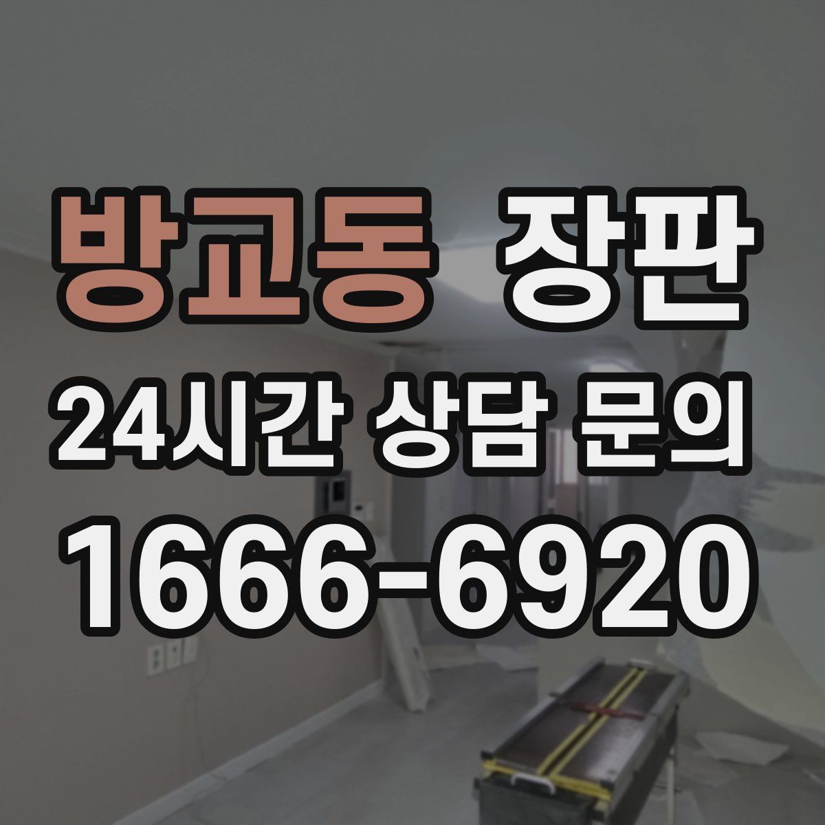 방교동 장판