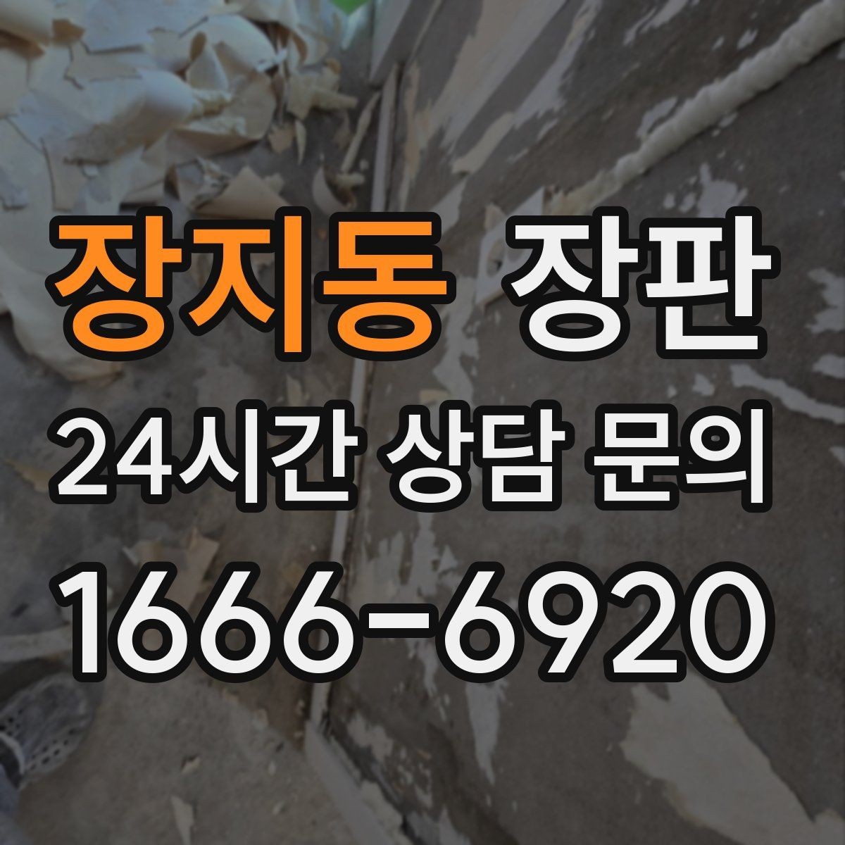 장지동 장판 부분 손상과 전체 교체 구분법