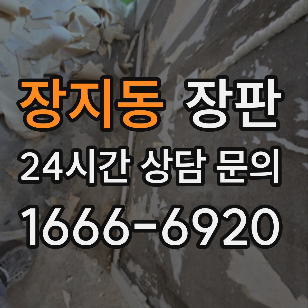 장지동 장판
