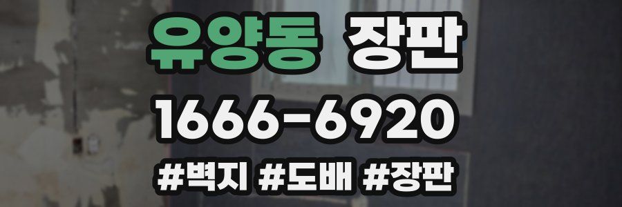 유양동 장판