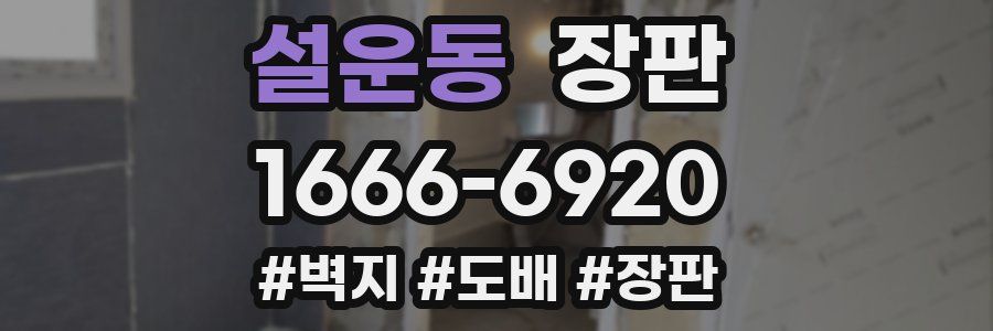 설운동 장판