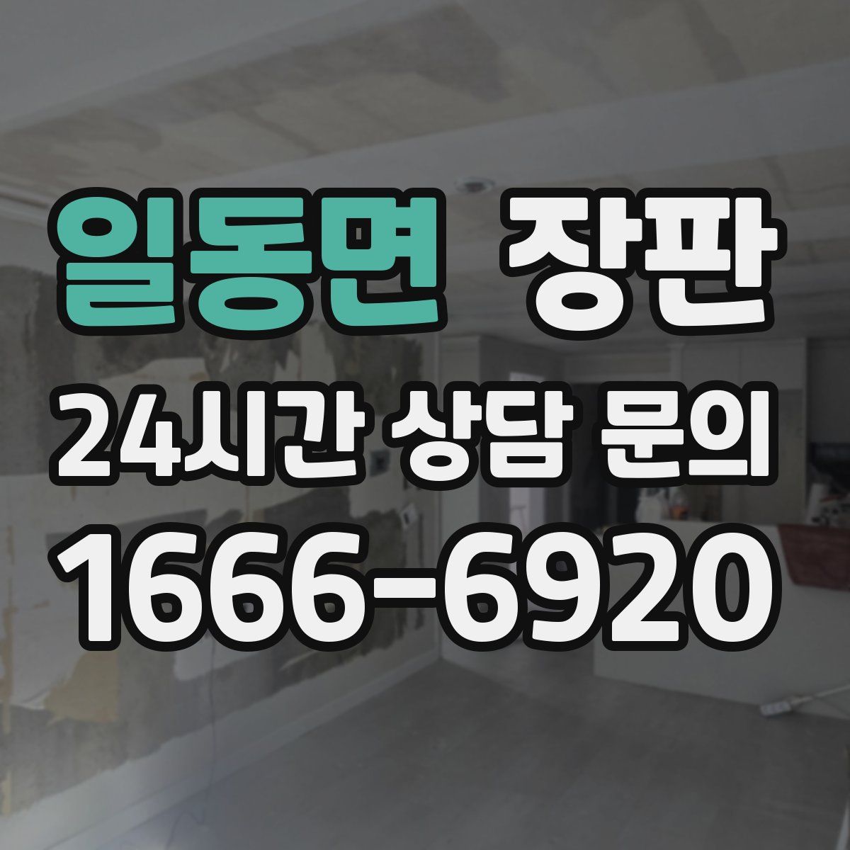 일동면 장판