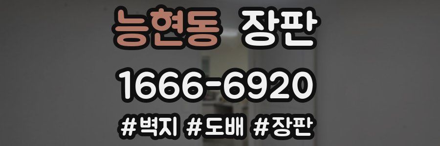 능현동 장판