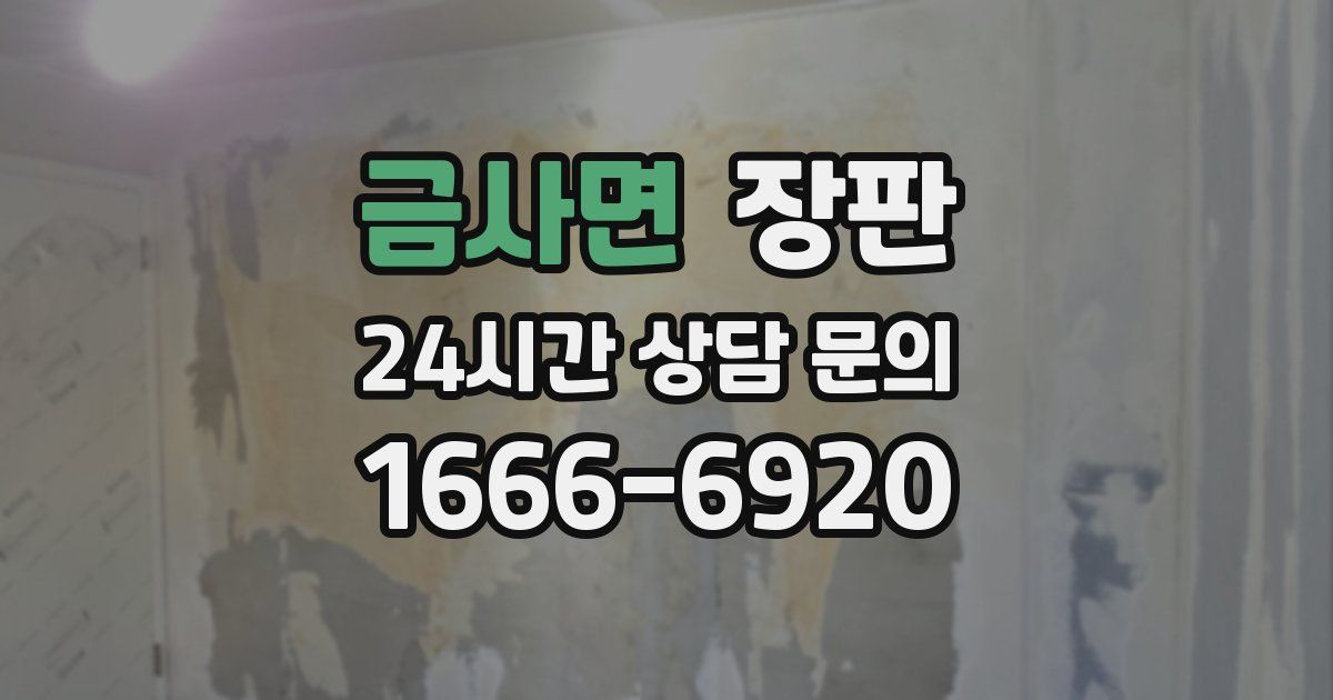금사면 장판