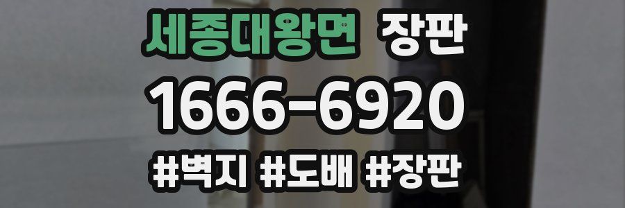 세종대왕면 장판